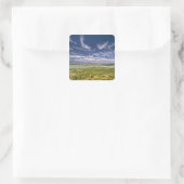 VS, Oregon, Steens Mountain. Lente bloeit Vierkante Sticker (Tas)