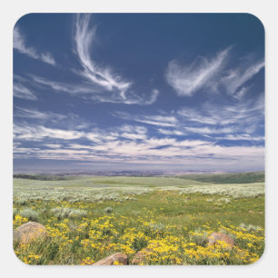 VS, Oregon, Steens Mountain. Lente bloeit Vierkante Sticker