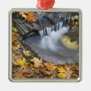 VS, Oregon, Sweet Creek. Gevallen esdoornbladeren Metalen Ornament