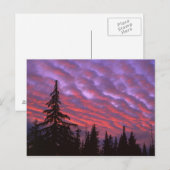 VS, Oregon, Three Sisters Wilderness, Levendig Briefkaart (Voorkant / Achterkant)