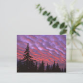 VS, Oregon, Three Sisters Wilderness, Levendig Briefkaart (Staand voorkant)