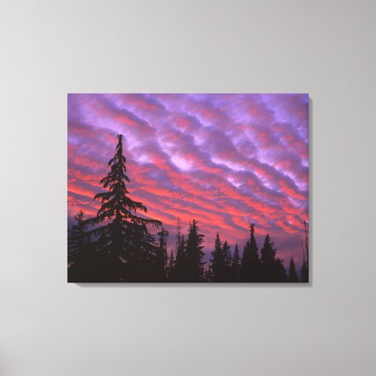 VS, Oregon, Three Sisters Wilderness, Levendig Canvas Afdruk (Voorkant)