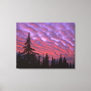 VS, Oregon, Three Sisters Wilderness, Levendig Canvas Afdruk