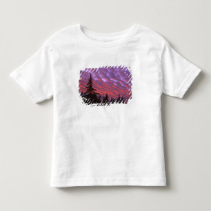 VS, Oregon, Three Sisters Wilderness, Levendig Kinder Shirts