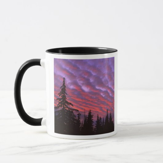VS, Oregon, Three Sisters Wilderness, Levendig Mok (Links)