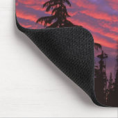 VS, Oregon, Three Sisters Wilderness, Levendig Muismat (Hoek)