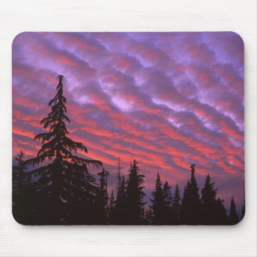 VS, Oregon, Three Sisters Wilderness, Levendig Muismat (Voorkant)