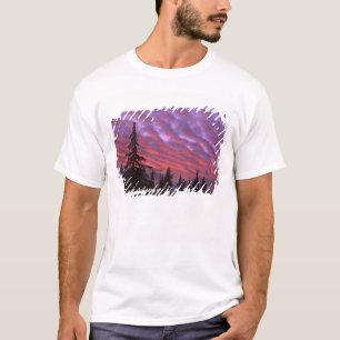 VS, Oregon, Three Sisters Wilderness, Levendig T-shirt