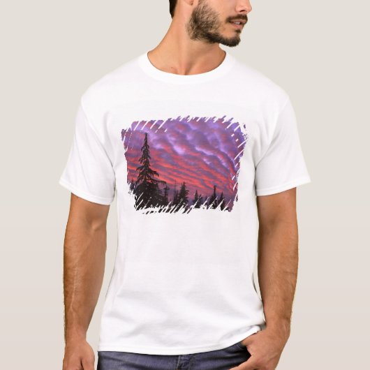 VS, Oregon, Three Sisters Wilderness, Levendig T-shirt (Voorkant)