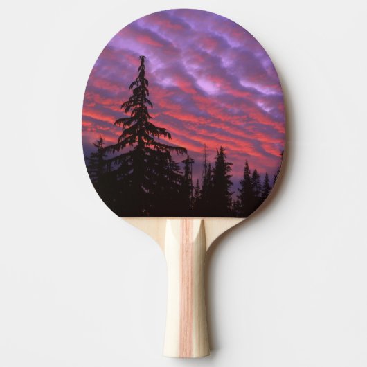 VS, Oregon, Three Sisters Wilderness, Levendig Tafeltennisbatje (Voorkant)