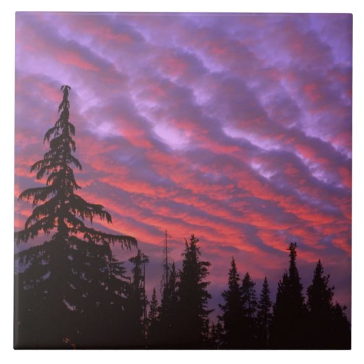 VS, Oregon, Three Sisters Wilderness, Levendig Tegeltje (Voorkant)
