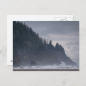 VS, Oregon, Tillamook County, bos aan de kust Briefkaart (Voorkant / Achterkant)