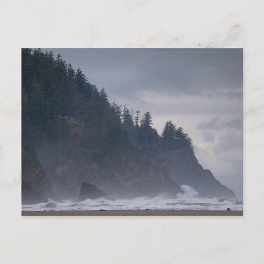 VS, Oregon, Tillamook County, bos aan de kust Briefkaart (Voorkant)