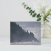 VS, Oregon, Tillamook County, bos aan de kust Briefkaart (Staand voorkant)