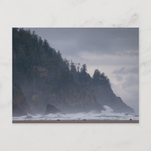 VS, Oregon, Tillamook County, bos aan de kust Briefkaart
