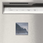 VS, Oregon, Tillamook County, bos aan de kust Magneet (Insitu (Vaatwasser))