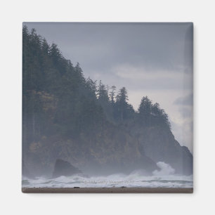 VS, Oregon, Tillamook County, bos aan de kust Magneet