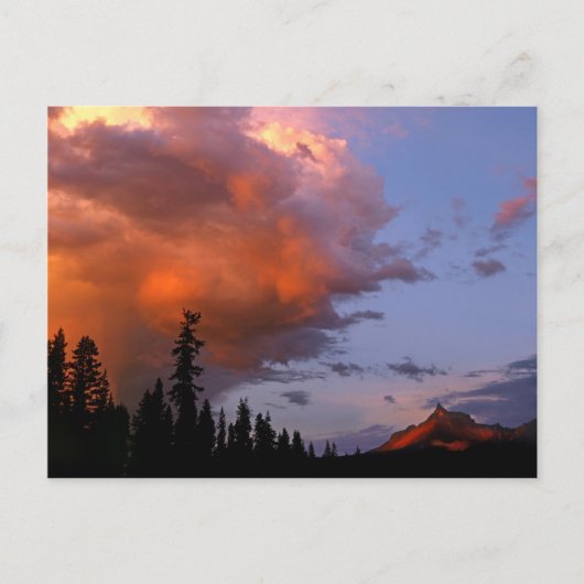 VS, Oregon, Umpqua National Forest. Storm 2 Briefkaart (Voorkant)