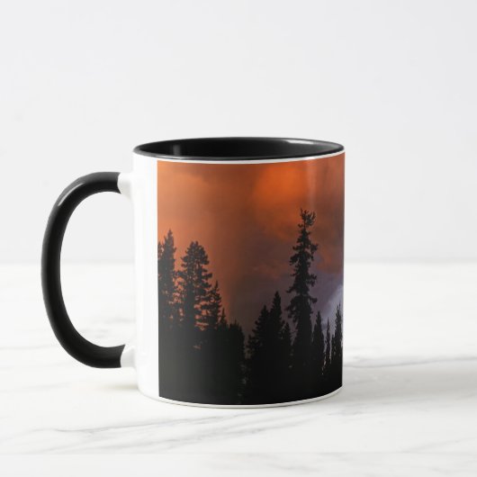 VS, Oregon, Umpqua National Forest. Storm 2 Mok (Links)