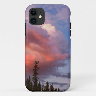 VS, Oregon, Umpqua National Forest. Storm Case-Mate iPhone Case