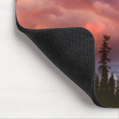 VS, Oregon, Umpqua National Forest. Storm Muismat (Hoek)