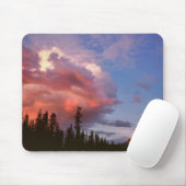 VS, Oregon, Umpqua National Forest. Storm Muismat (Met muis)
