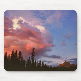 VS, Oregon, Umpqua National Forest. Storm Muismat