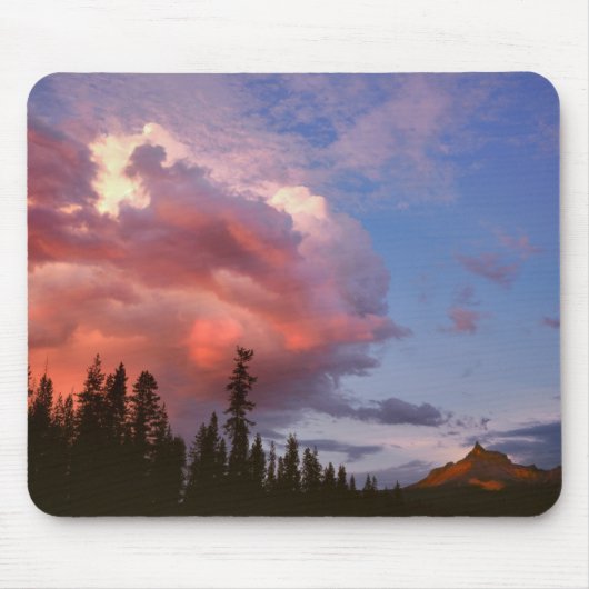 VS, Oregon, Umpqua National Forest. Storm Muismat (Voorkant)
