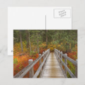 VS, Oregon, Willamette National Forest. Briefkaart (Voorkant / Achterkant)
