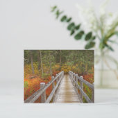 VS, Oregon, Willamette National Forest. Briefkaart (Staand voorkant)