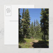 VS, Oregon, Willamette National Forest, Herfst Briefkaart (Voorkant / Achterkant)