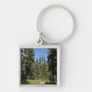 VS, Oregon, Willamette National Forest, herfst Sleutelhanger