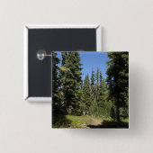 VS, Oregon, Willamette National Forest, Herfst Vierkante Button 5,1 Cm (Voorkant /achterkant)