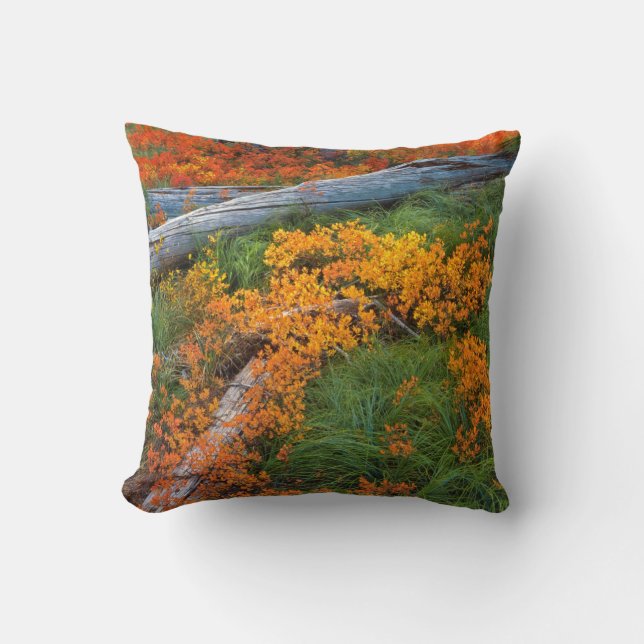 VS, Oregon, Willamette National Forest Kussen (Voorkant)