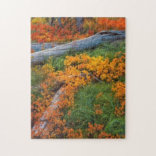 VS, Oregon, Willamette National Forest Legpuzzel (Verticaal)