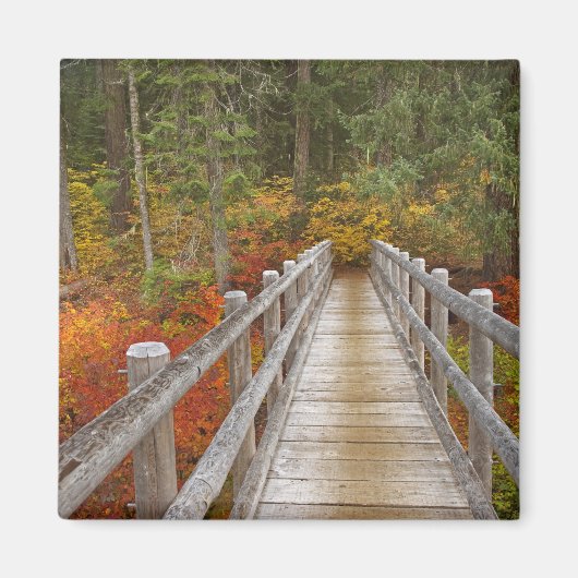VS, Oregon, Willamette National Forest. Magneet (Voorkant)