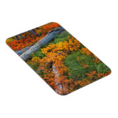 VS, Oregon, Willamette National Forest Magneet (Rechterzijde)
