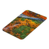VS, Oregon, Willamette National Forest Magneet (Linkerzijde)