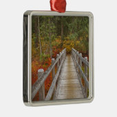 VS, Oregon, Willamette National Forest. Metalen Ornament (Rechts)