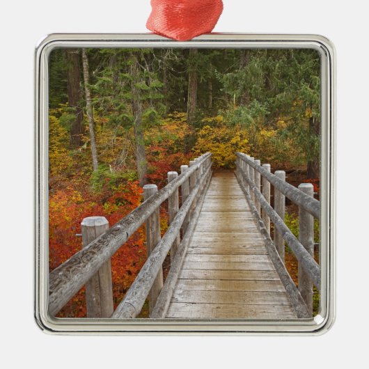 VS, Oregon, Willamette National Forest. Metalen Ornament (Voorkant)