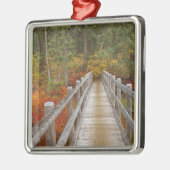 VS, Oregon, Willamette National Forest. Metalen Ornament (Links)