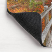 VS, Oregon, Willamette National Forest. Muismat (Hoek)