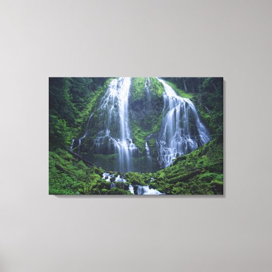VS, Oregon, Willamette National Forest. Uitzicht o Canvas Afdruk (Voorkant)