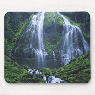 VS, Oregon, Willamette National Forest. Uitzicht o Muismat
