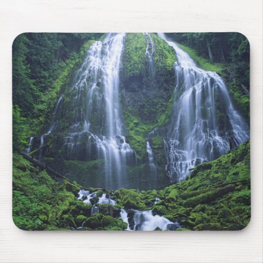 VS, Oregon, Willamette National Forest. Uitzicht o Muismat (Voorkant)