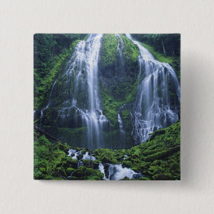 VS, Oregon, Willamette National Forest. Uitzicht o Vierkante Button 5,1 Cm