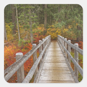 VS, Oregon, Willamette National Forest. Vierkante Sticker