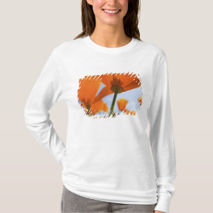VS, Oregon, Willamette-vallei, Close-up van 2 T-shirt