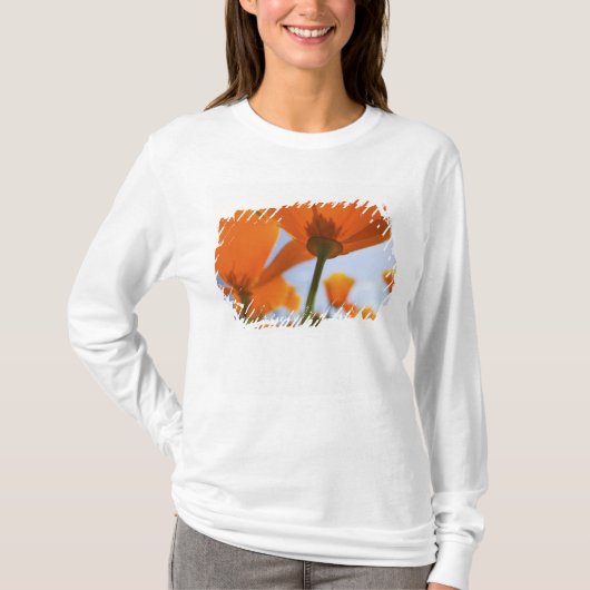 VS, Oregon, Willamette-vallei, Close-up van 2 T-shirt (Voorkant)