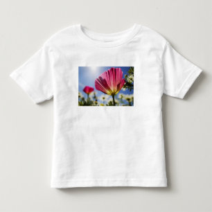 VS, Oregon, Willamette-vallei, Close-up van Kinder Shirts